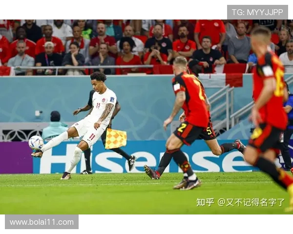 比利时与挪威精彩对决直播全程放送 比利时与挪威精彩对决直播全程放送